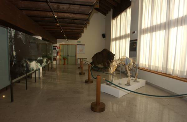 Museo della Grotta