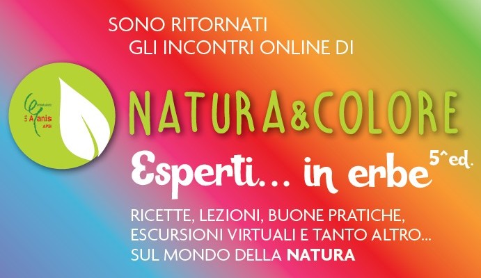 Esperti in erbe - Natura&Colore 2025 / IL CALENDARIO