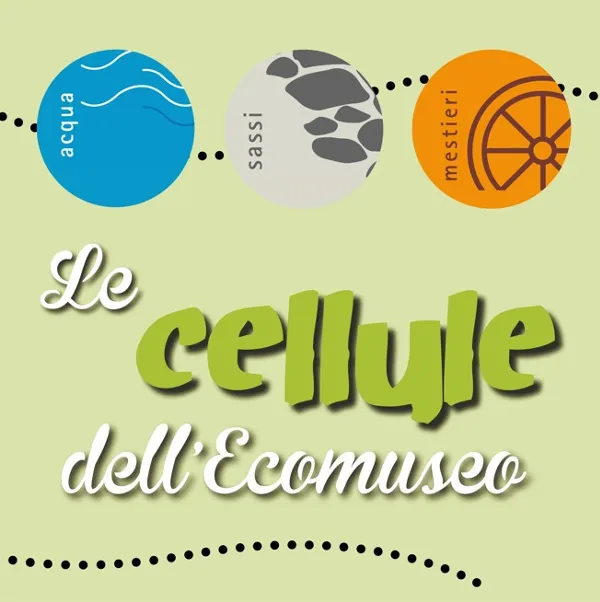 Le cellule